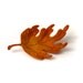Felted brooch autumn leaf