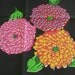 Vintage KEN SCOTT Cotton Napkins - Set of 6 - Chrysanthemums Flowers Vibrant Colors