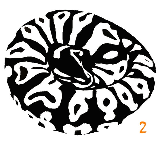 Items similar to Large Ball Python Decal on Etsy