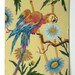 Vintage painted parrot pair, paint by number wall art for your tropical decor