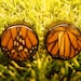 1 1/4" Real Monarch Butterfly Organic Plugs