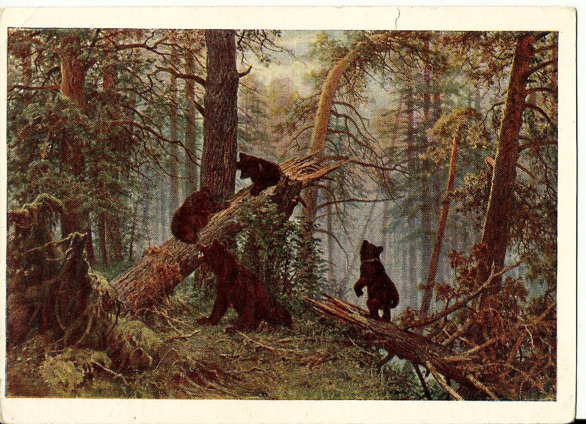 Vintage Russian Postcard Morning in a Pine Forest artist I.