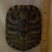 real animal bone read ear slider Turtle Shell part