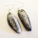 Orthoceras Fossil Earrings