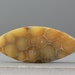 Marquis, Flat Cabochon - Sea Coral Fossil - Ocean Specimen - 100 Million Years Old - 41mm (C967)