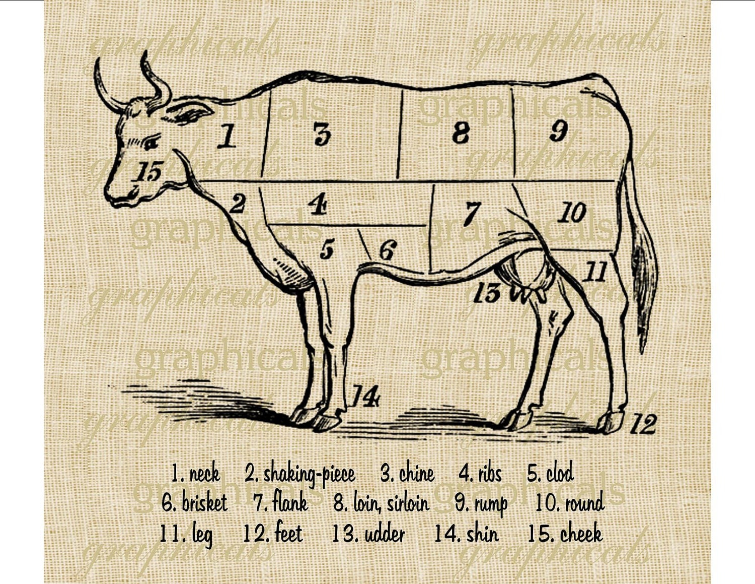 Beef cuts butcher chart instant clip art digital download