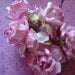 Mulberry Paper Flowers Pink Roses for Scrapbooking Card Making