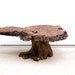 Vintage Mid Century Burl Wood Live Edge Slab Coffee Table