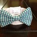 Teal and White Check Bow Tie Collar for a Cat or a Dog