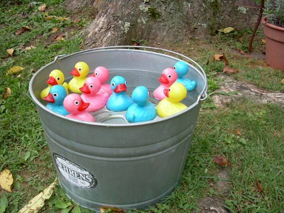 Carnival Game Ducks With A Little Farm Flair