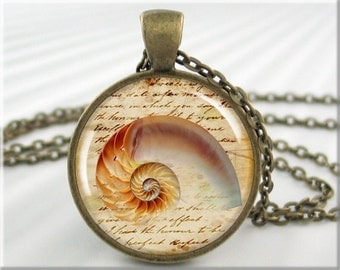 Seashell Art Pendant, Resin Charm, Ocean Beach Jewelry, Sea Life Picture Necklace, Beachcomber Gift, Round Bronze, Gift Under 20 (074RB)