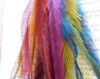 Feathers, Emu feathers,rainbow feathers, feather dangle,