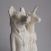 Wolf Husband and Unicorn Bride