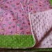 Pink and Green Cupcake Snuggle Blanket