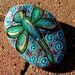Summer Dragonfly /Painted Rock /Sandi Pike Foundas