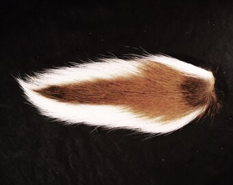 1 LARGE 10-13" Deer tail buck tail Totem Loose Tails for art project, ornaments, costume, Etc
