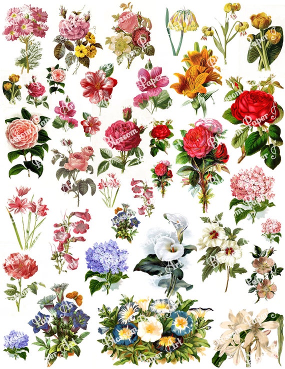 Flowers Collage Sheet Digital Scrapbook Scrapbooking