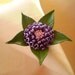 Leather flower Lea.