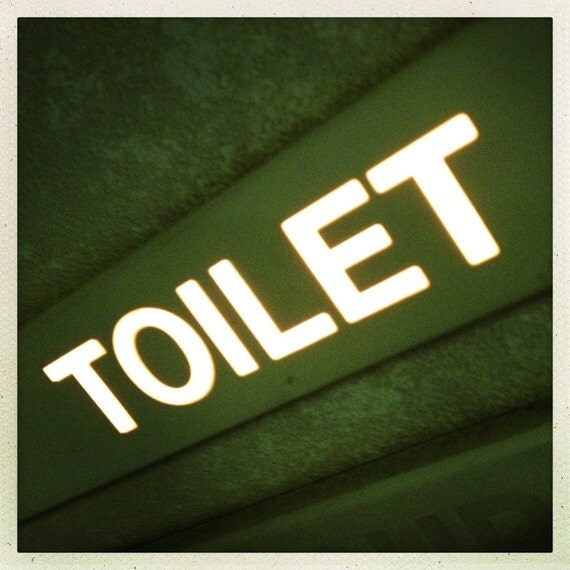 Airplane Toilet Lavatory Sign Illuminated Airline Decor   Il 570xN.379765167 8nnz 