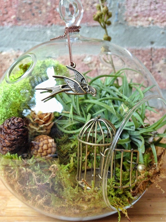 Steampunk Air Plant And Moss Terrarium By Lovelyterrariums On Etsy