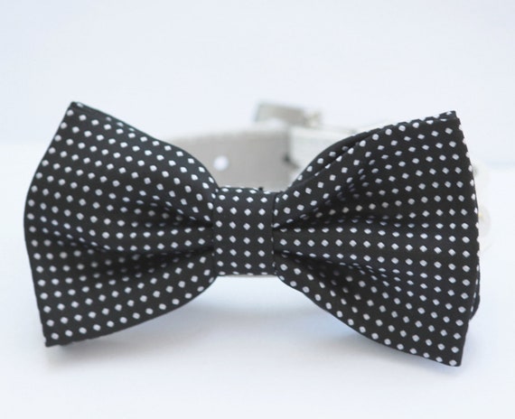 Black Dog Bow Tie bow tie attached to dog collar polka dots