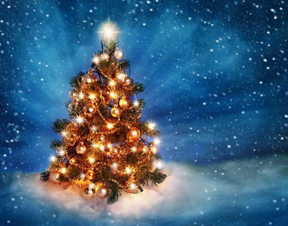 Christmas Photography Background Photo Backdrop