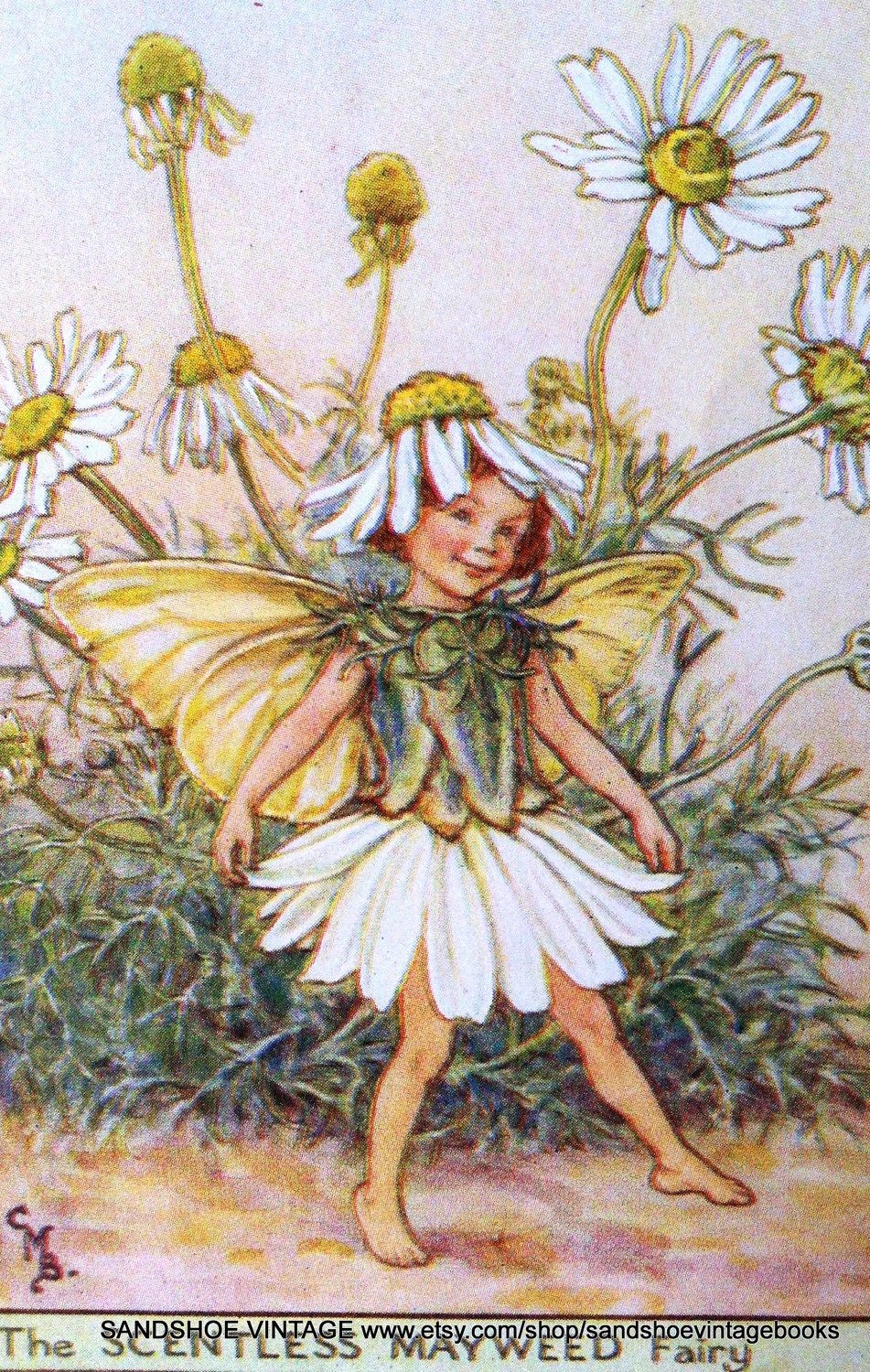 On Hold 1930s Fairy Cicely Mary Barker Print Ideal For Framing Etsy