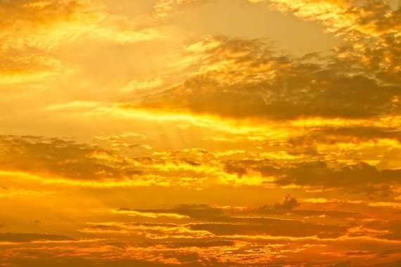 Golden Sky  photo Digital Download Yellow  Sky  Fine Art Etsy