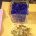 Cobalt Blue Glass For Terrariums, Fairy Gardens, Vivariums Crushed and Tumbled- 1/2 lb