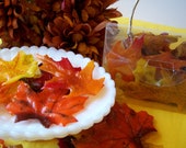 Fall Soap Leaves "Autumn Glycerin Soap leaves"  Wedding Favors, Holidays, Primitive, Bath, Christmas Gifts, Decor, ACOFT, WIB Team, OFG Team