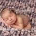 Newborn Photography Fabric Backdrop - Emma Rose Backdrop in Pink and Grey - 2 Yards