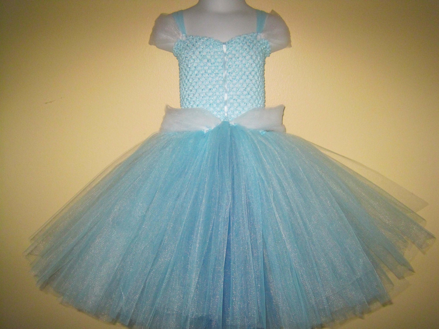 Cinderella Tutu Dress