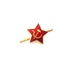 Soviet Army Hat Badge USSR Russian Army Military Pin Small Red Star badge Russian Pilotka insignia