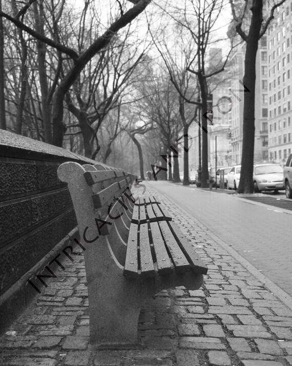 Central Park Bench