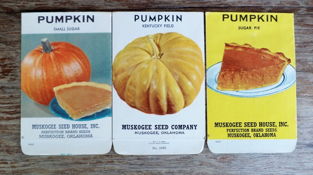 Vintage Unused Pumpkin Seed Packets Small Sugar Kentucky