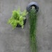 Small Terracotta Wall Planter Black Color