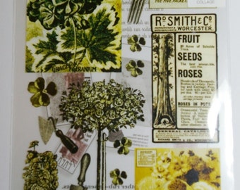 Garden Collage Rub On Transfers, Nostalgic Garden Transfers