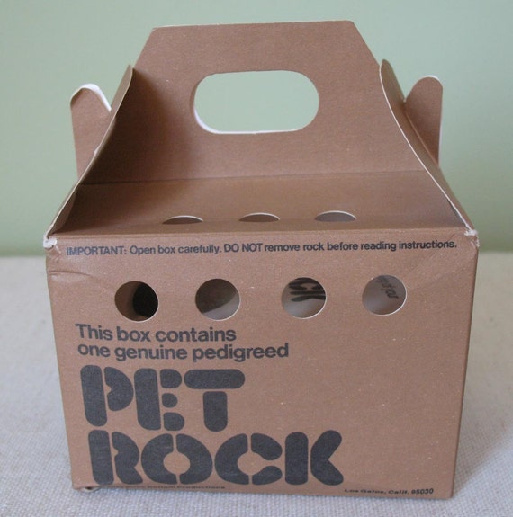 A Pet Rock The Perfect Pet Of 1970s   Il 570xN.371841799 7m1b 