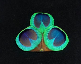 Peacock Eye Feather Hair Clip Wedding Bridesmaids Hair Accessory Small Turquoise Blue Green Fascinator ELLA