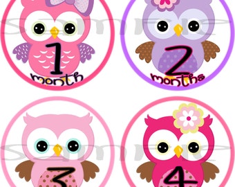 Owl Baby girl monthly stickers, Baby girl month stickers, Girl monthly stickers, Baby girl stickers, Month stickers girl, Baby age stickers