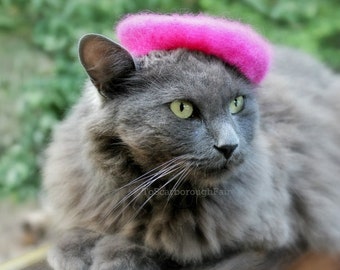Raspberry Beret - Cat Beret - Pink Flambe Wool Felted Beret - French Cat Beret