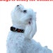 Dog Collar Tutorial, PLUS Video and BONUS--Make it Yourself, Instructional EBook, Instant Download