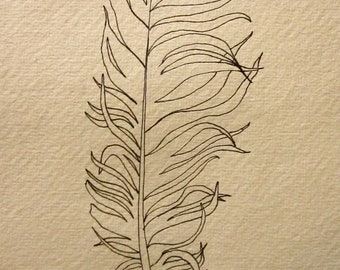 Original ink feather drawing 2 sea bird feathers