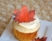 Edible Maple Leaves - Dark Burnt Orange/Red 1 dozen - Cake & Cupcake toppers - Food Accessories Il_170x135