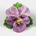 Vintage Adderley Purple Pansy Bone China Flower Brooch