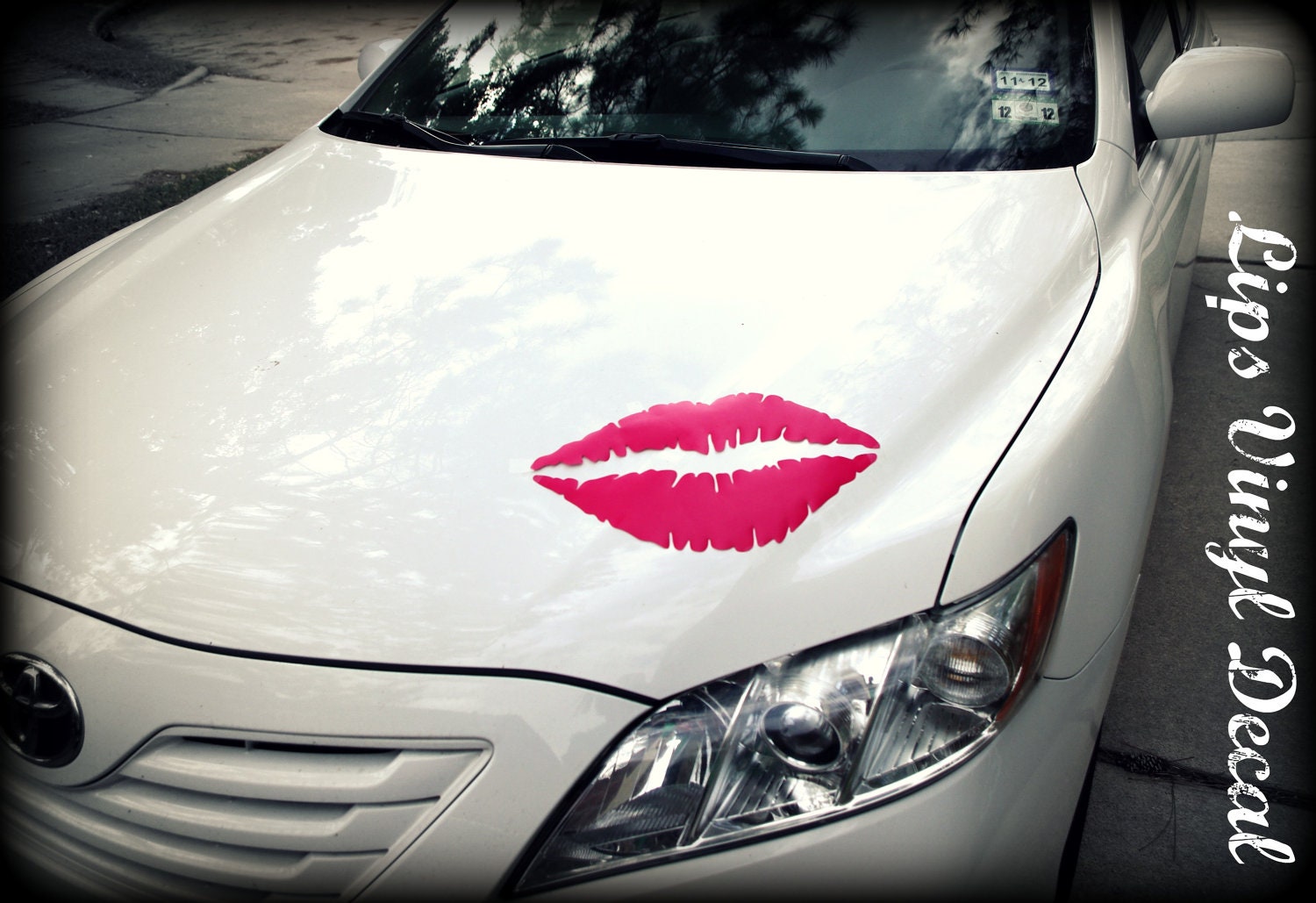 Giant Car Lips Vinyl Decal HOT PINK Lips Lips Decal Car