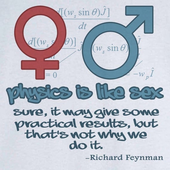 Physics Is Like Sexrichard Feynman Quotation Funny Novelty 7914