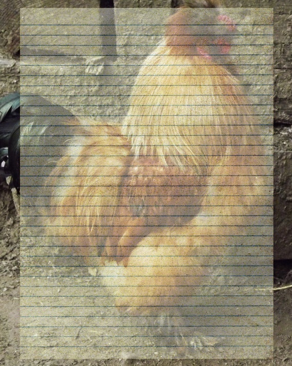 Printable Journal Page Chicken Stationery Farm Animals Lined