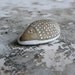 RESERVED - Beach Stone Hedgehog