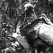 IronPigeon